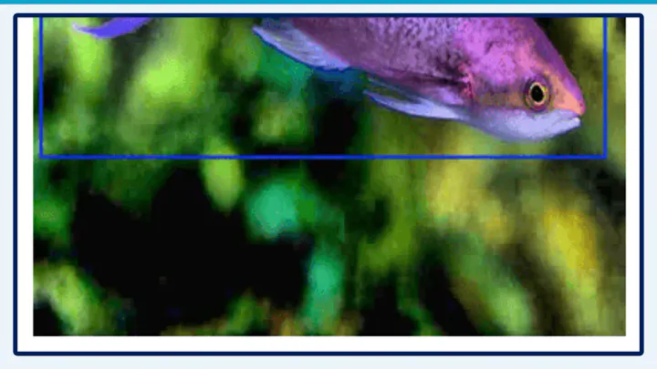 Editorial cover for Object Detection using YOLO
